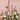 Five Hall of Flame Secret Garden Pink Cathedral Candles in silver holders, are arranged among light pink roses and green leaves on a pink textured background.