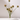 The Hall of Flame Cylinder | Crystal Glass Candle Holder displays tall green stems with round, fluffy brown seed heads, casting gentle shadows on a white background.