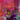 A vibrant display of Hall of Flame Hot Pink Taper Candles XXL with purple flowers.