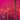 In a pink room with pink walls, Hall of Flame’s Hot Pink Taper Candles burn in chrome silver holders.
