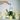 Sandwax Candle Refill 12kg Bucket