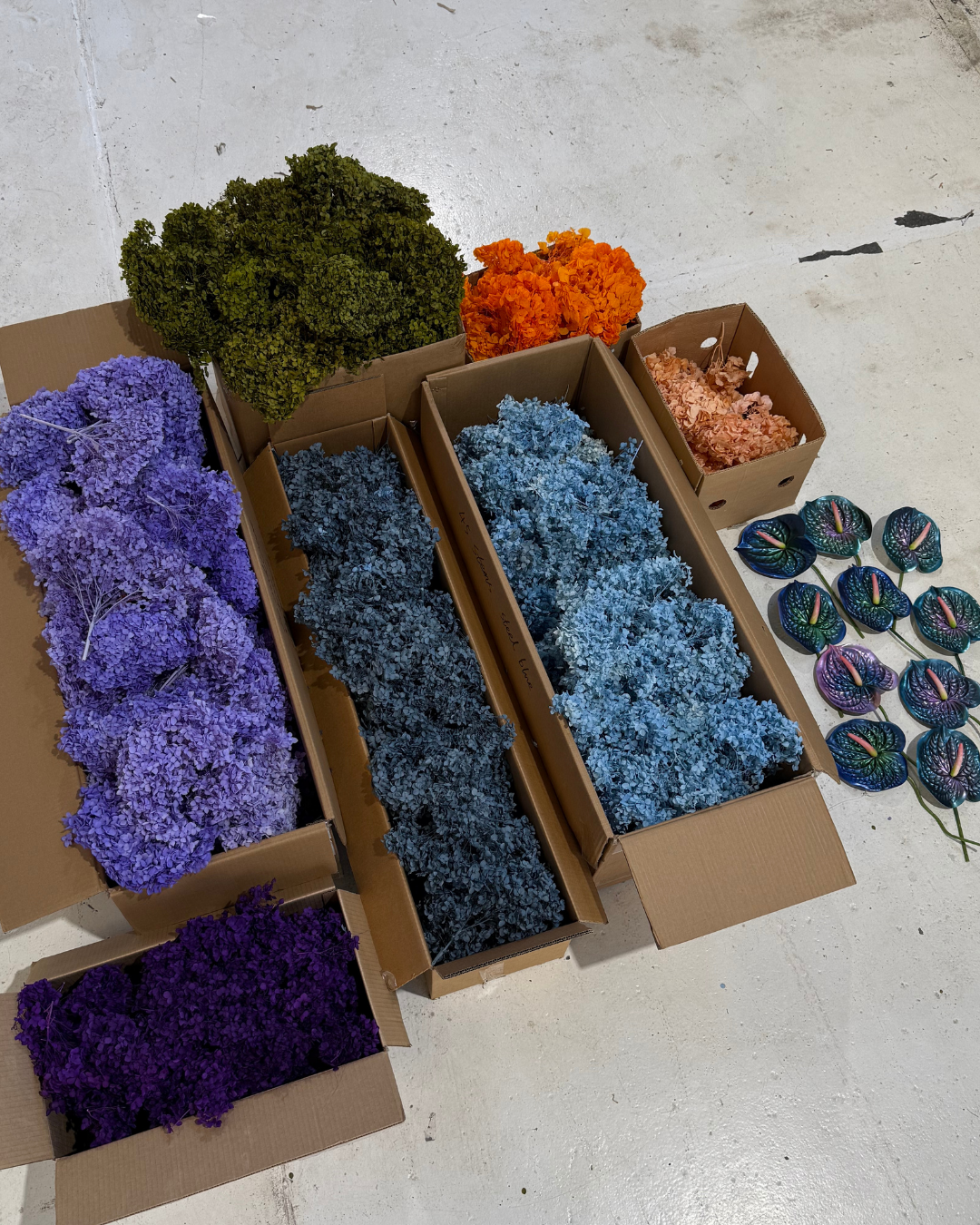 PRESERVED FLOWERS