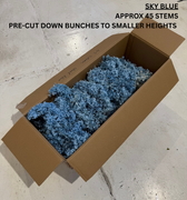 An open Hall of Flame PRESERVED FLOWERS box with about 45 sky blue stems, pre-cut into small bunches, rests on a white floor. Product details are shown above the box.