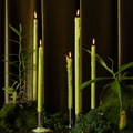 Green taper candle