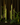 Green taper candle