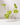 Five white candles in the Hall of Flame Glass Crystal Candelabra are accented with five green anthurium stems, all set against a plain white backdrop.