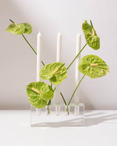 anthurium candle Glass Crystal Candelabra